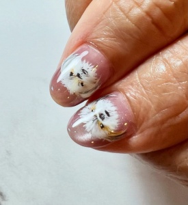 A2AA402E-9012-441D-AB4D-FF96398B2013